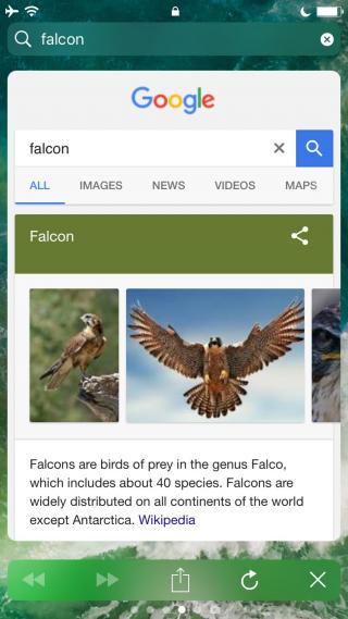 Download Falcon 1.0 free